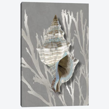 Shell Coral Silver on Gray III Canvas Print #KEL88} by Caroline Kelly Canvas Wall Art
