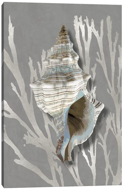 Shell Coral Silver on Gray III Canvas Art Print - Caroline Kelly