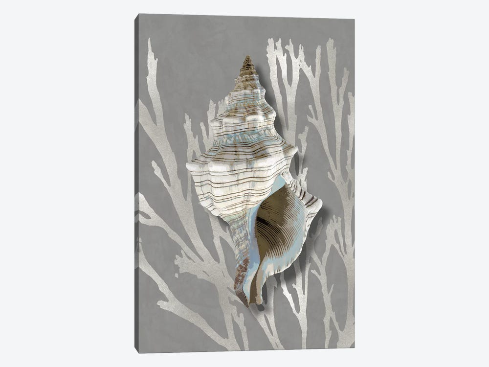 Shell Coral Silver on Gray III by Caroline Kelly 1-piece Canvas Wall Art