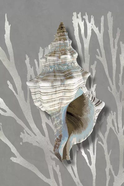 Caroline Kelly: Shell Coral Silver on Gray III by Caroline Kelly