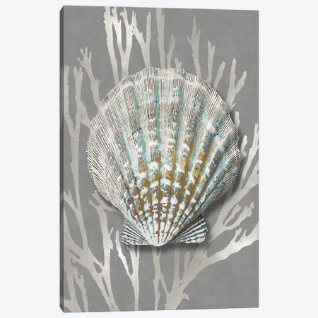 Shell Coral Silver on Gray IV Canvas Print #KEL89} by Caroline Kelly Canvas Artwork