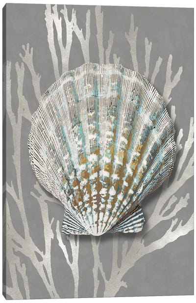 Shell Coral Silver on Gray IV Canvas Art Print - Sea Shell Art