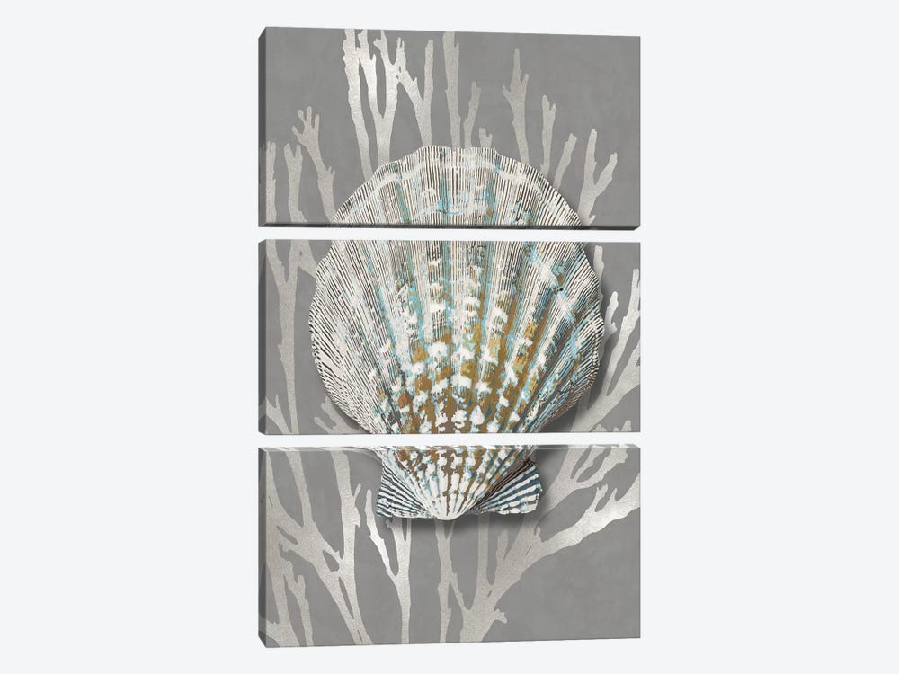 Shell Coral Silver on Gray IV by Caroline Kelly 3-piece Art Print