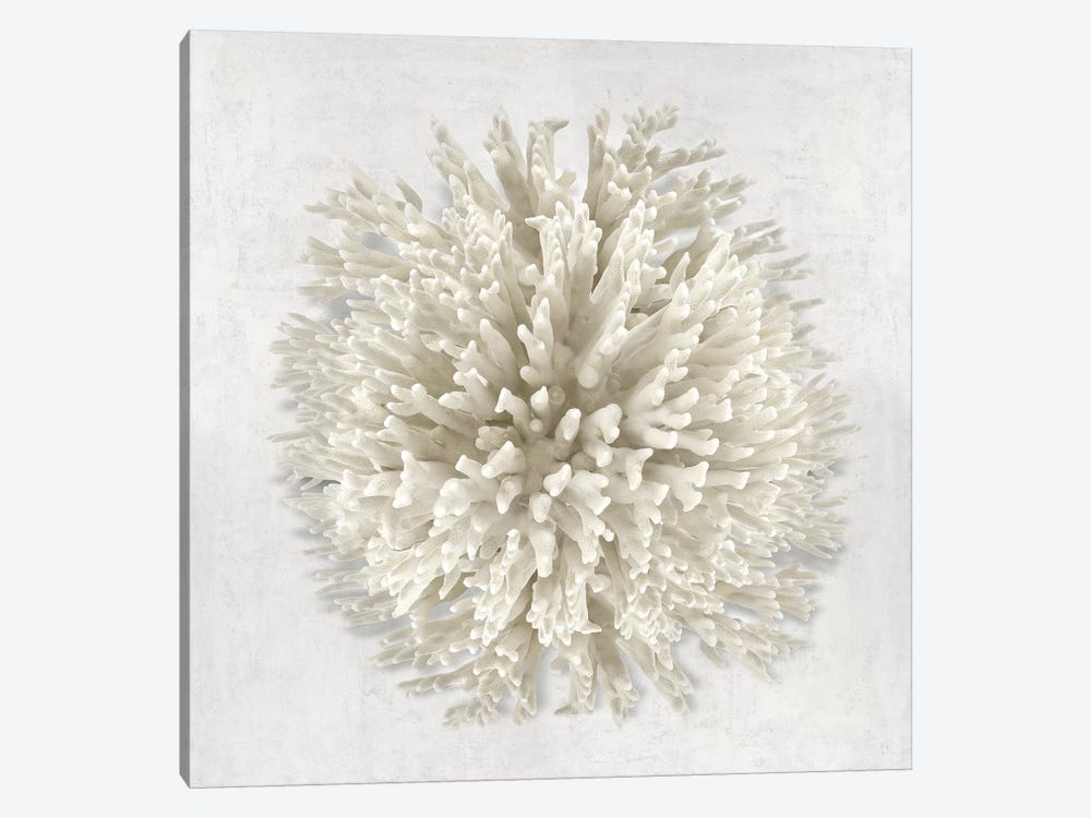 Coral I by Caroline Kelly 1-piece Canvas Art Print