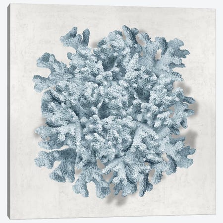 Coral Blue II Canvas Print #KEL95} by Caroline Kelly Canvas Wall Art