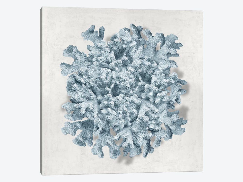 Coral Blue II by Caroline Kelly 1-piece Canvas Artwork