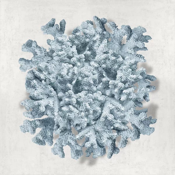 Caroline Kelly: Coral Blue II by Caroline Kelly