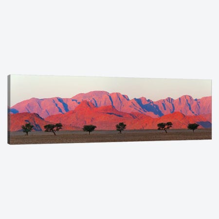 Tree with mountain in southern Namib Desert, Sesriem Canvas Print #KES104} by Keren Su Canvas Print