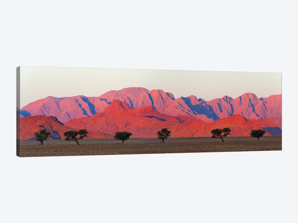 Tree with mountain in southern Namib Desert, Sesriem by Keren Su 1-piece Canvas Art Print