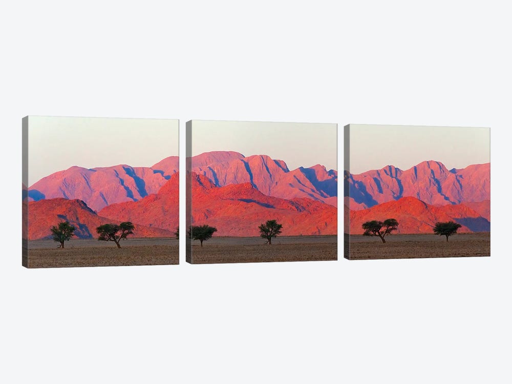 Tree with mountain in southern Namib Desert, Sesriem by Keren Su 3-piece Canvas Art Print