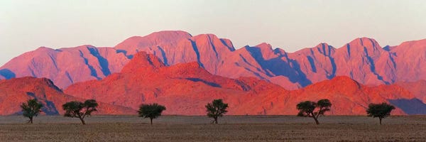 Keren Su: Tree with mountain in southern Namib Desert, Sesriem by Keren Su