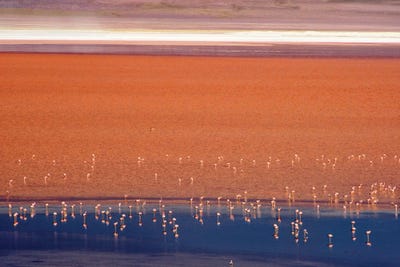 Bolivia