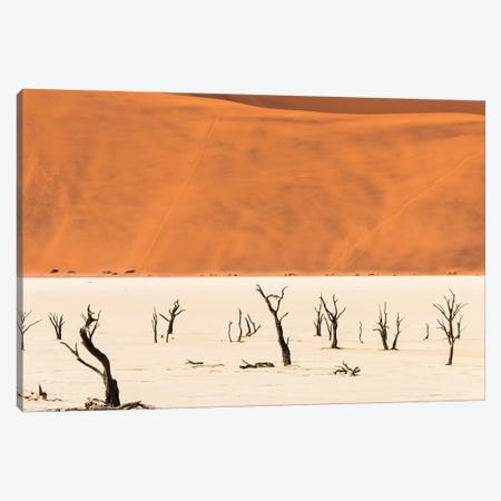 Dead acacia trees in Deadvlei, Sossusvlei, Namib-Naukluft National Park, southern Narim Desert Canvas Print #KES63} by Keren Su Canvas Art Print