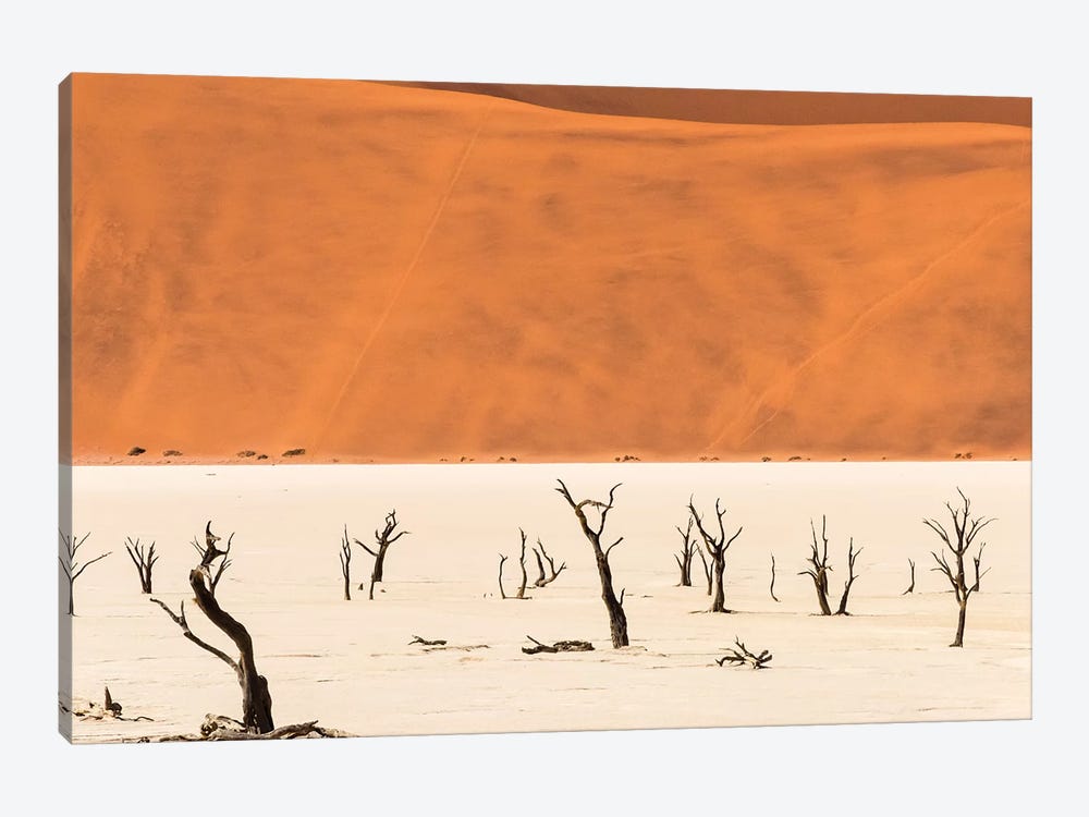 Dead acacia trees in Deadvlei, Sossusvlei, Namib-Naukluft National Park, southern Narim Desert by Keren Su 1-piece Canvas Artwork