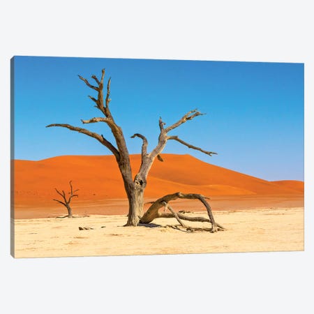 Dead acacia trees in Deadvlei, Sossusvlei, Namib-Naukluft National Park, southern Narim Desert Canvas Print #KES64} by Keren Su Canvas Art