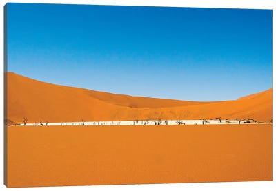 Dead acacia trees in Deadvlei, Sossusvlei, Namib-Naukluft National Park, southern Narim Desert Canvas Art Print