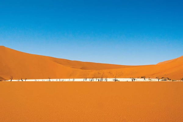 Dead acacia trees in Deadvlei, Sossusvlei, Namib-Naukluft National Park, southern Narim Desert