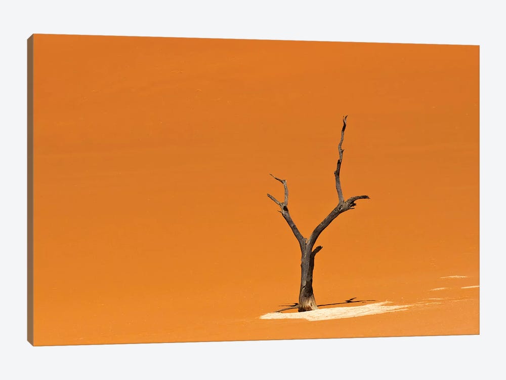 Dead acacia trees in Deadvlei, Sossusvlei, Namib-Naukluft National Park, southern Narim Desert by Keren Su 1-piece Art Print