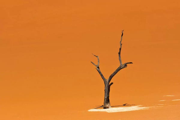 Namibia: Dead Acacia Trees In Deadvlei Sossusvlei Namib Naukluft National Park Ver. III by Keren Su