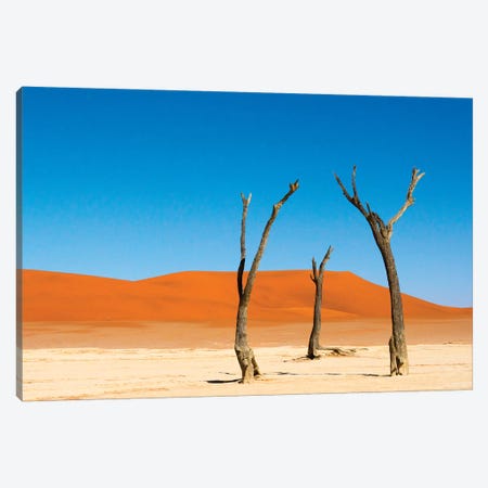 Dead Acacia trees in Deadvlei, Sossusvlei, Namib-Naukluft NP, southern Narim Desert, Namibia Canvas Print #KES67} by Keren Su Canvas Art