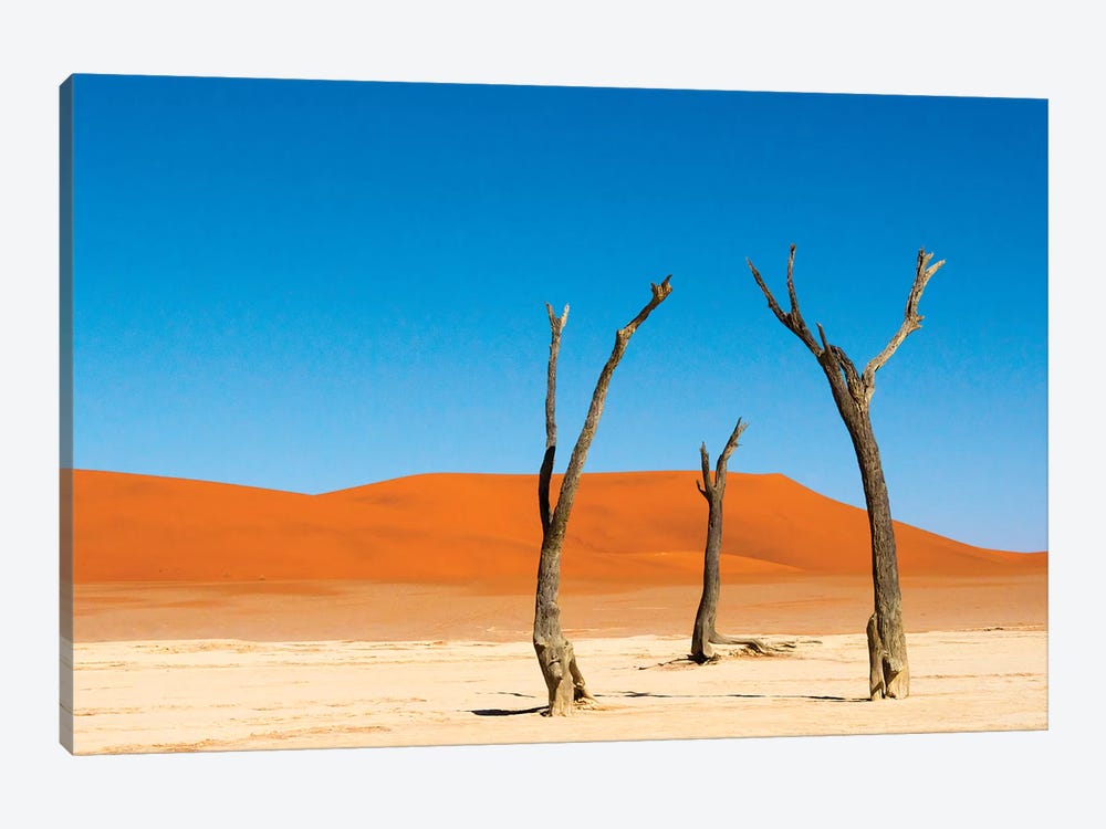 Dead Acacia trees in Deadvlei, Sossusvlei, Namib-Naukluft NP, southern Narim Desert, Namibia by Keren Su 1-piece Canvas Art