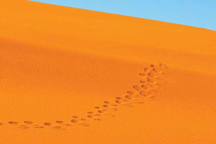 Footprints on red sand dune in southern Namib Desert. Sossusvlei, Namib-Naukluft NP, Namibia