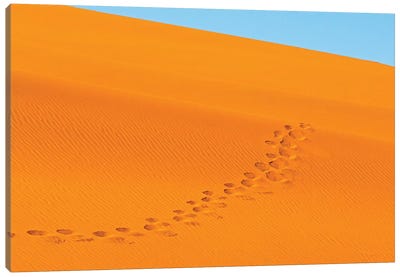 Footprints on red sand dune in southern Namib Desert. Sossusvlei, Namib-Naukluft NP, Namibia Canvas Art Print