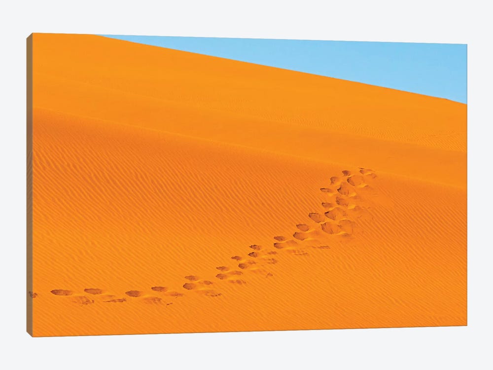 Footprints on red sand dune in southern Namib Desert. Sossusvlei, Namib-Naukluft NP, Namibia by Keren Su 1-piece Canvas Art