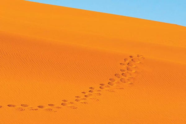 Footprints on red sand dune in southern Namib Desert. Sossusvlei, Namib-Naukluft NP, Namibia