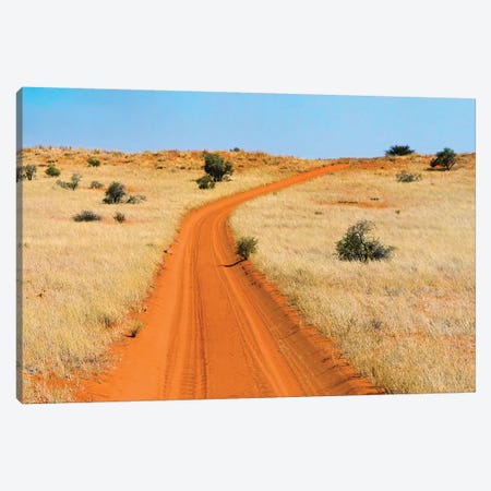 Red sand road in Kgalagadi Transfrontier Park, South Africa Canvas Print #KES90} by Keren Su Canvas Artwork