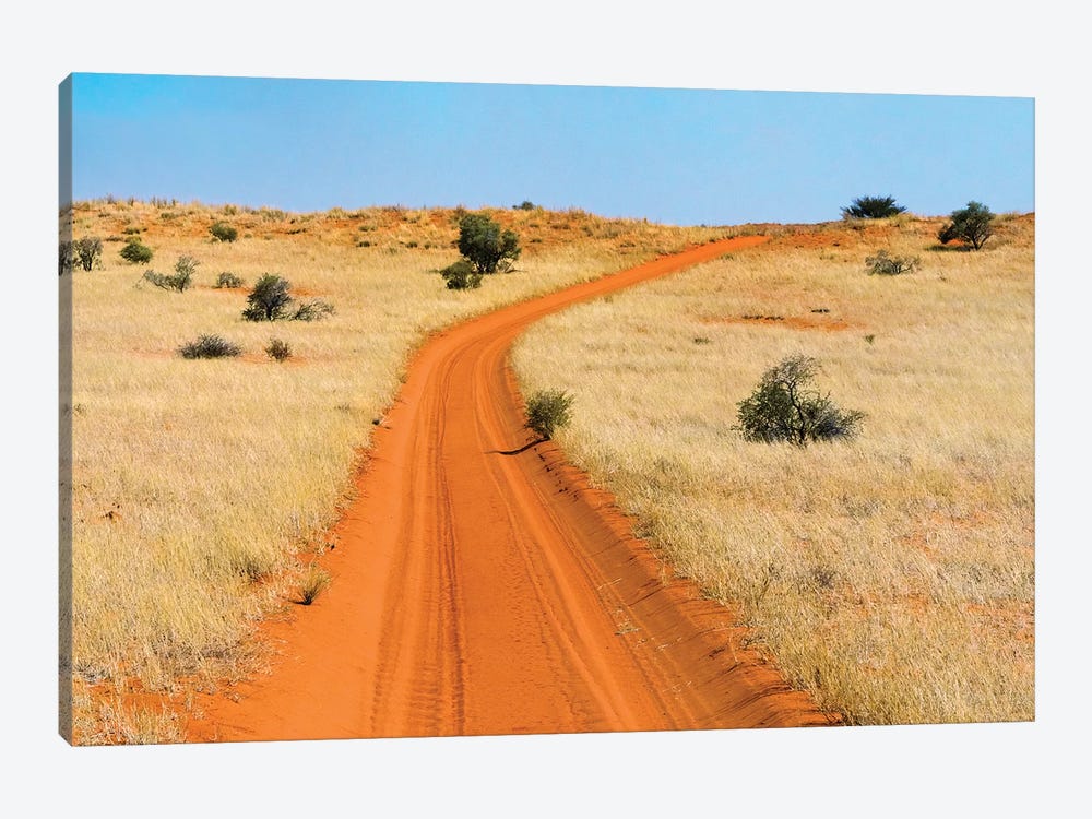 Red sand road in Kgalagadi Transfrontier Park, South Africa by Keren Su 1-piece Canvas Wall Art