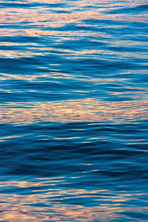 Ripples at sunrise, Lake Ohrid, Republic of Macedonia by Keren Su wall art