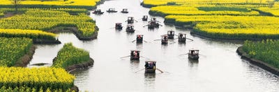 Rowing boat on river through Thousand-Islet canola flower fields, Xinghua, Jiangsu Province, China by Keren Su acrylic art print