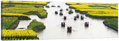 Rowing boat on river through Thousand-Islet canola flower fields, Xinghua, Jiangsu Province, China Canvas Art Print - China Art