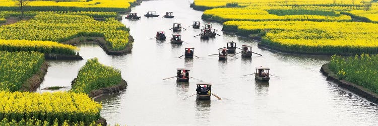 Rowing boat on river through Thousand-Islet canola flower fields, Xinghua, Jiangsu Province, China