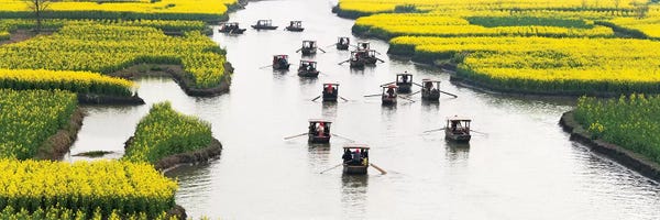 Keren Su: Rowing boat on river through Thousand-Islet canola flower fields, Xinghua, Jiangsu Province, China by Keren Su