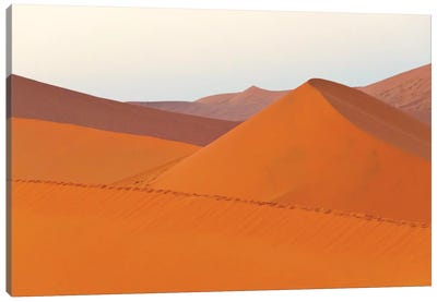 Tourists hiking on sand Dune 45 in southern Namib Desert. Sossusvlei, Namib-Naukluft NP, Namibia Canvas Art Print