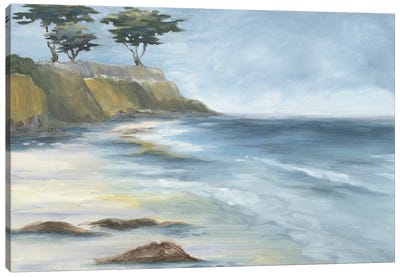 Beach Cypress Canvas Art Print