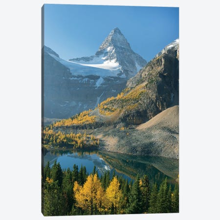 Larch Trees In Autumn Below Mount Assiniboine With Sunburst Lake, Mount Assiniboine Provincial Park, British Columbia, Canada Canvas Print #KEV4} by Kevin Schafer Art Print