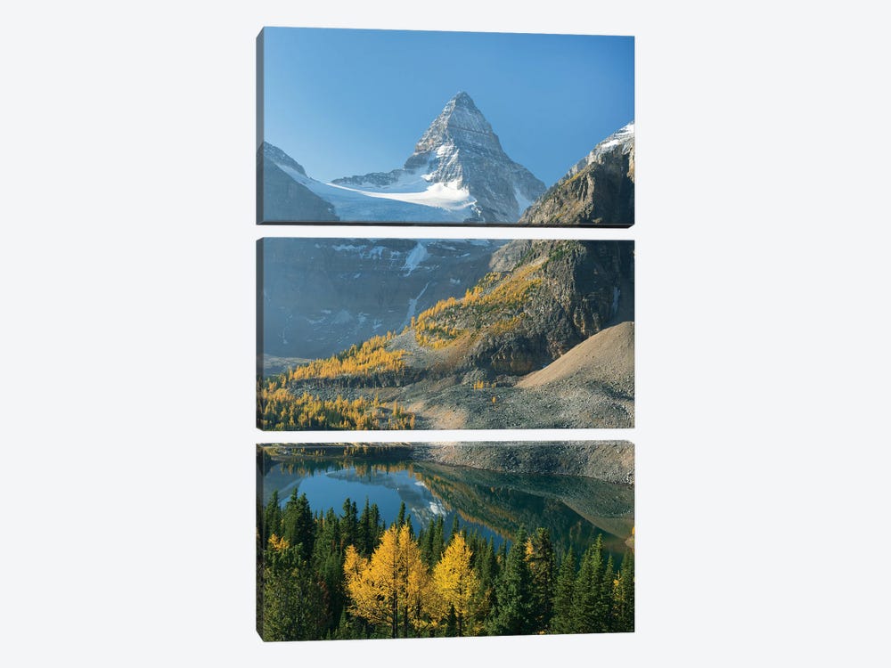 Larch Trees In Autumn Below Mount Assiniboine With Sunburst Lake, Mount Assiniboine Provincial Park, British Columbia, Canada by Kevin Schafer 3-piece Canvas Wall Art