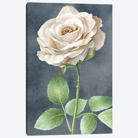 Ivory Roses on gray panel I Canvas Print #KEW15} by Kelsey Wilson Canvas Art Print