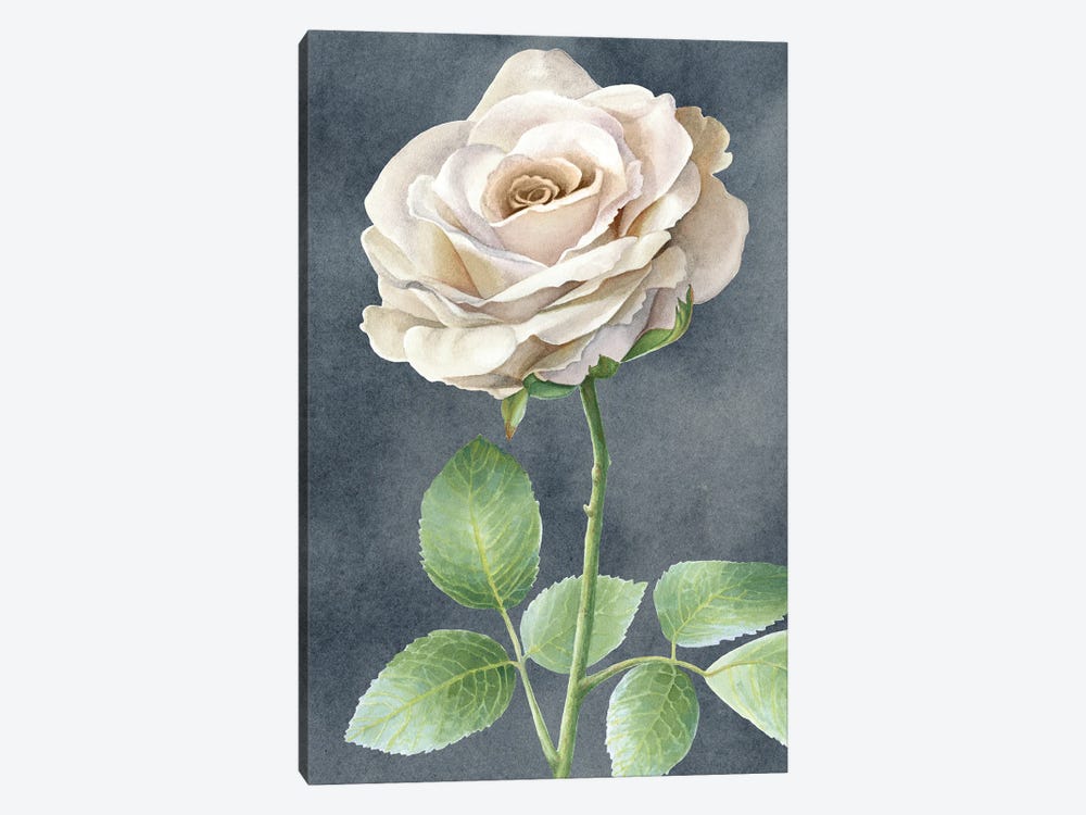 Ivory Roses on gray panel I by Kelsey Wilson 1-piece Canvas Wall Art