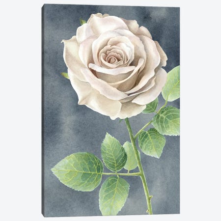 Ivory Roses on gray panel II Canvas Print #KEW16} by Kelsey Wilson Canvas Art Print