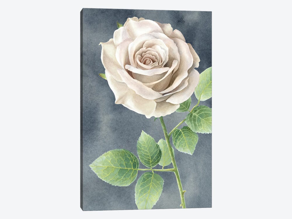 Ivory Roses on gray panel II by Kelsey Wilson 1-piece Canvas Art Print