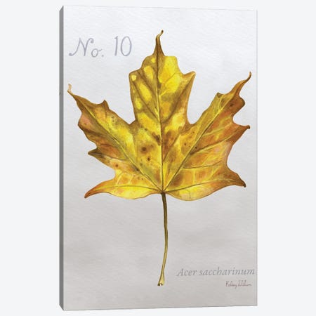 Autumn Leaves On Gray I-Maple Canvas Print #KEW26} by Kelsey Wilson Canvas Art