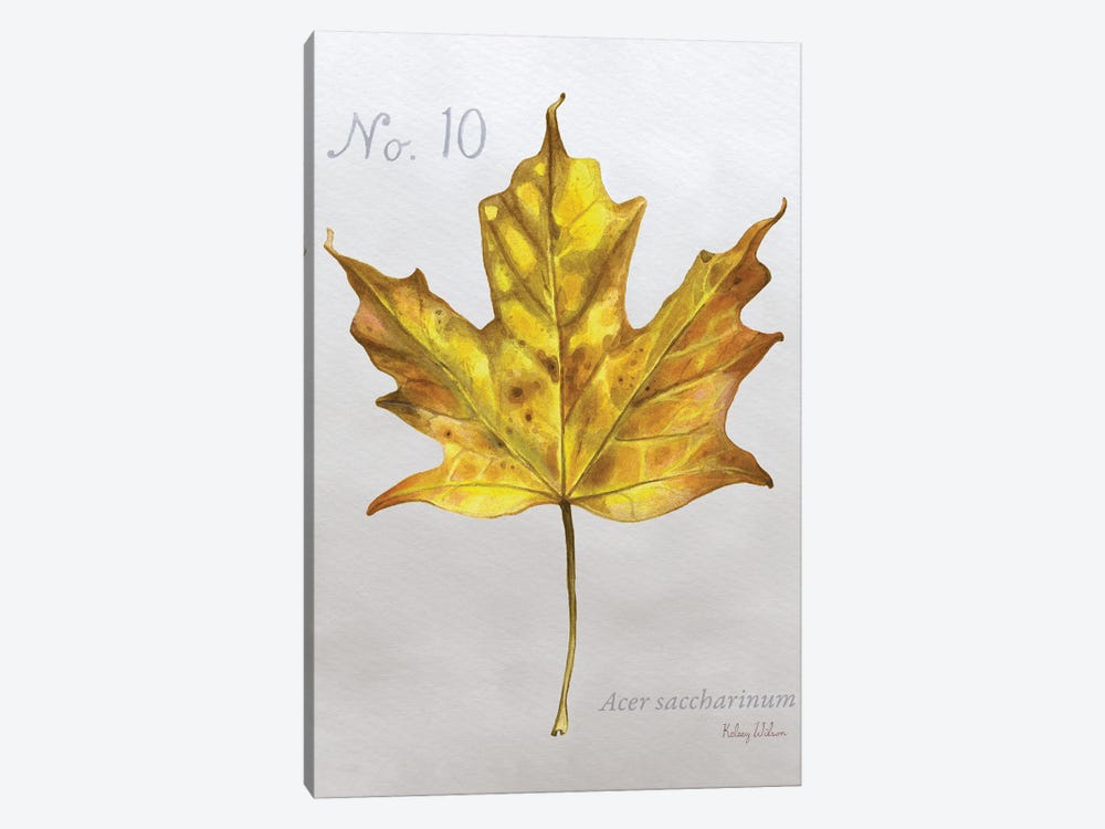 Autumn Leaves On Gray I-Maple by Kelsey Wilson 1-piece Canvas Art