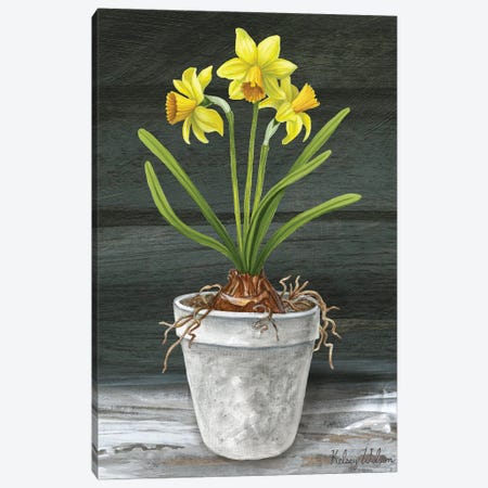 Farmhouse Garden I-Daffodils Canvas Print #KEW28} by Kelsey Wilson Canvas Art Print