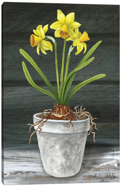 Farmhouse Garden I-Daffodils Canvas Art Print - Daffodil Art