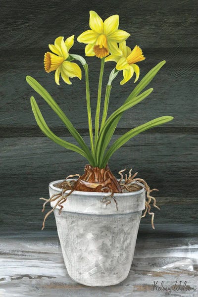 Daffodils: Farmhouse Garden I-Daffodils by Kelsey Wilson