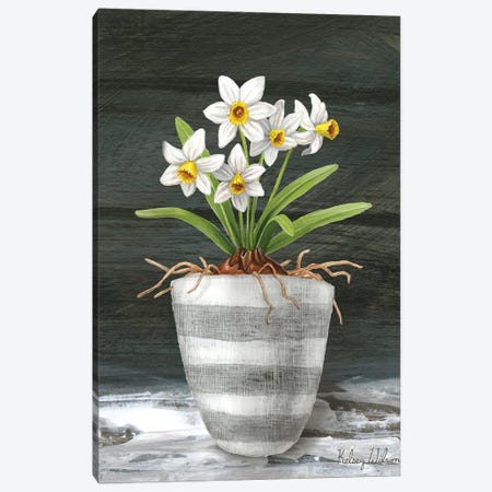 Farmhouse Garden II-White Daffodils Canvas Print #KEW30} by Kelsey Wilson Canvas Art